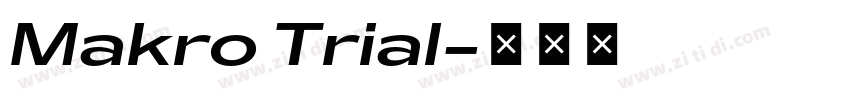 Makro Trial字体转换